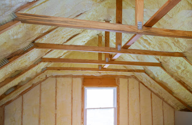 Best Spray Foam Insulation in Clinton, IA