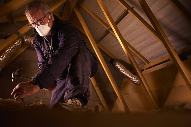 Best Geographic-Specific Insulation Services in Clinton, IA