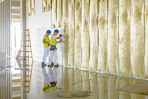 Best Spray Foam Insulation in Clinton, IA